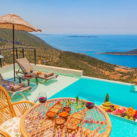 Nest - Hill Vista Villa